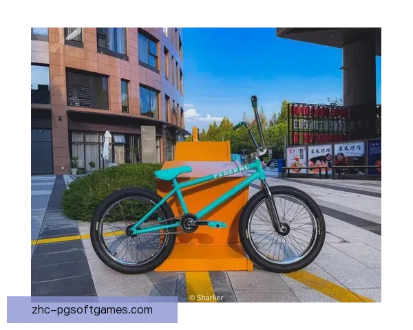 BMX运动规则及技巧全面解析