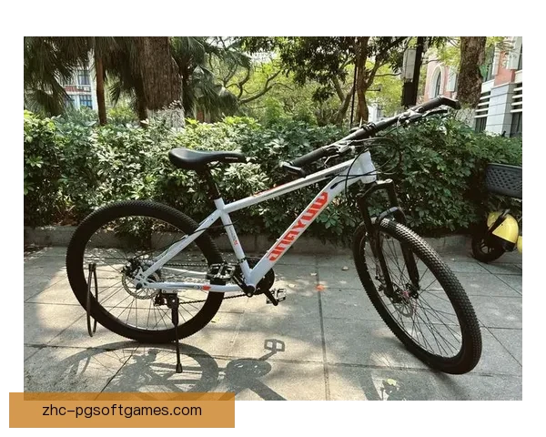 BMX骑行入门指南详解及技巧分享