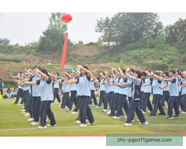 体操领域热门排名一览