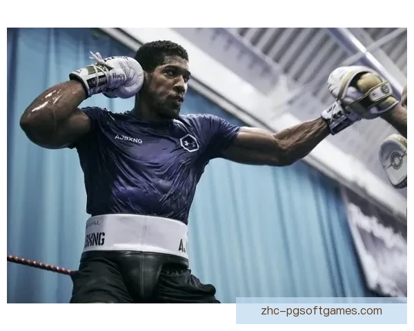 拳击世界：最惊人的纪录与壮举