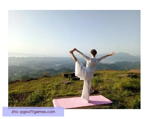 瑜伽世界纪录：身体与心灵的极致境界