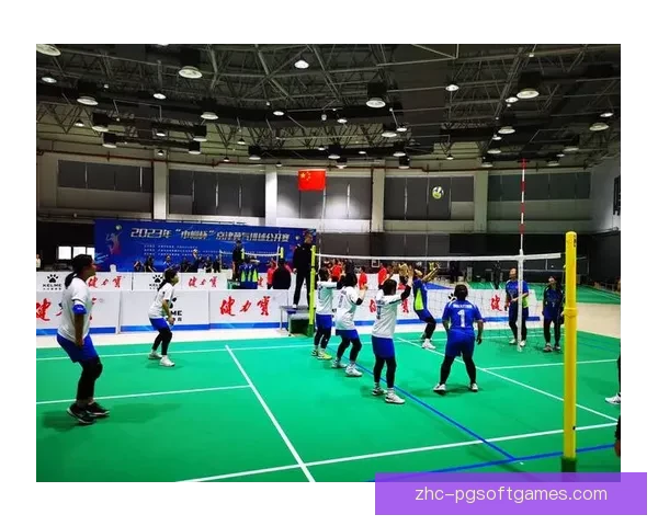 热血激战!探秘排球巅峰赛场 热血激战!探秘排球巅峰赛场